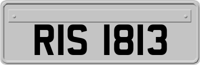 RIS1813