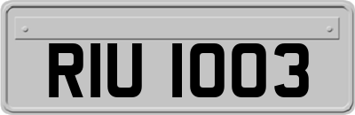 RIU1003