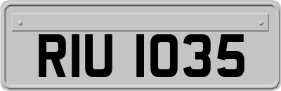 RIU1035
