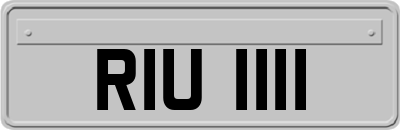 RIU1111