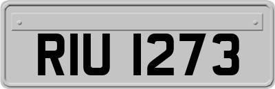 RIU1273