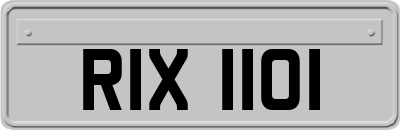 RIX1101