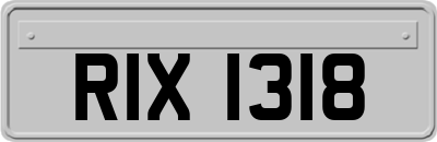 RIX1318