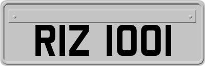 RIZ1001