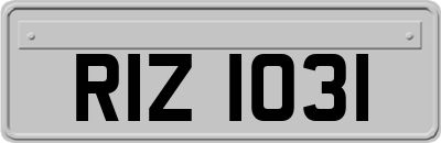 RIZ1031