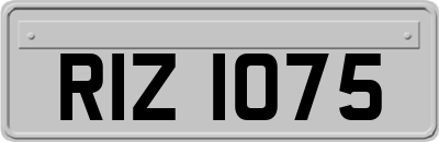 RIZ1075
