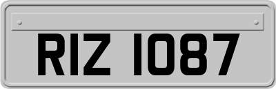RIZ1087