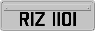 RIZ1101