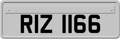 RIZ1166