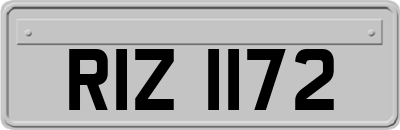 RIZ1172