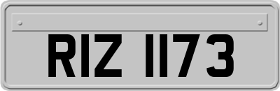 RIZ1173