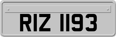 RIZ1193