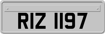 RIZ1197