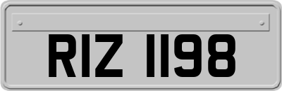 RIZ1198