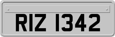RIZ1342