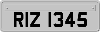 RIZ1345