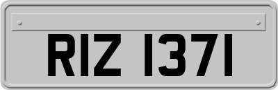 RIZ1371