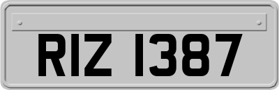RIZ1387