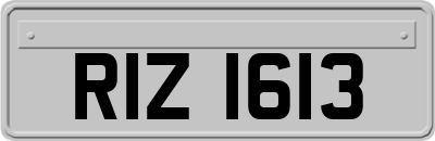 RIZ1613