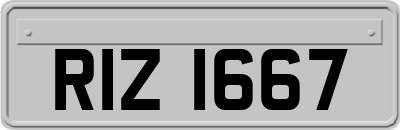 RIZ1667