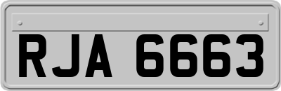 RJA6663