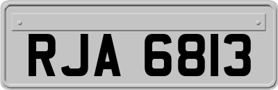RJA6813