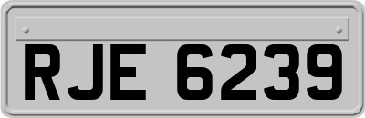 RJE6239