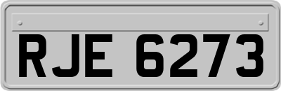 RJE6273