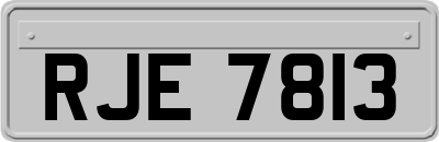 RJE7813