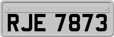 RJE7873