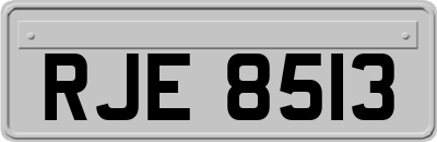 RJE8513