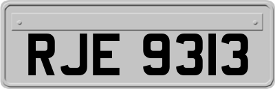 RJE9313