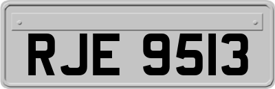 RJE9513