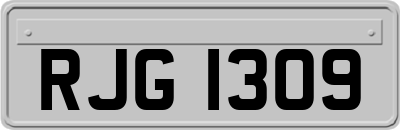 RJG1309