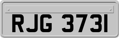 RJG3731