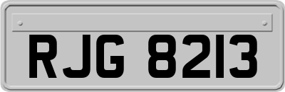 RJG8213