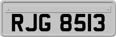 RJG8513