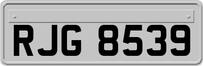 RJG8539