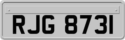 RJG8731