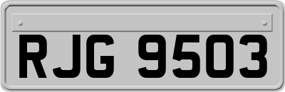 RJG9503