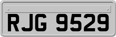 RJG9529