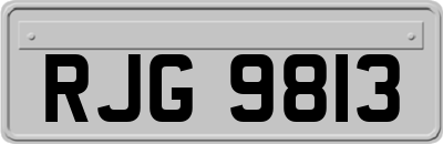 RJG9813