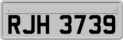 RJH3739