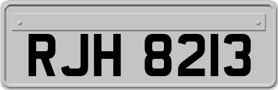 RJH8213