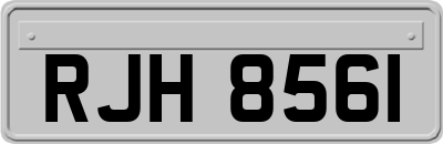 RJH8561