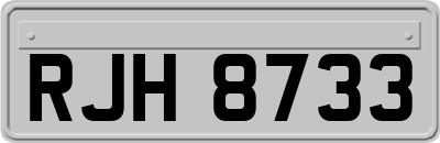 RJH8733