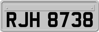 RJH8738