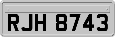 RJH8743