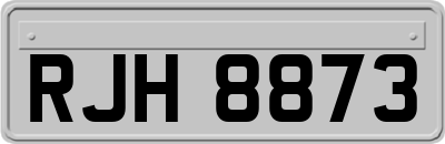 RJH8873