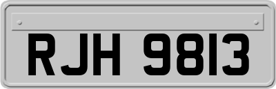 RJH9813